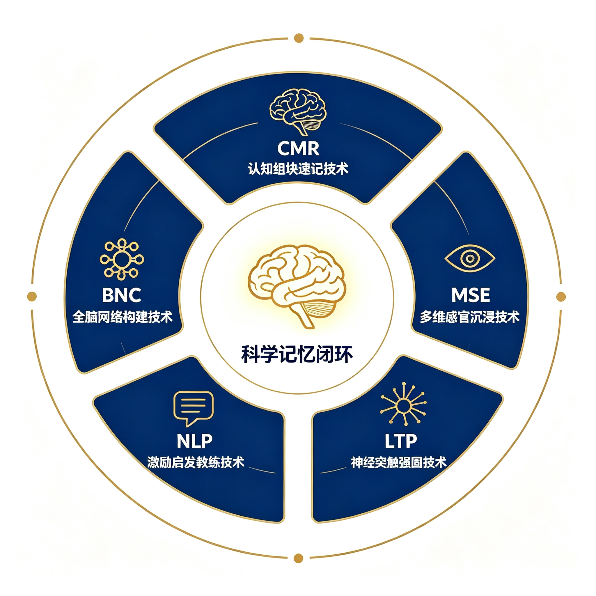天敬星AI记单词配图